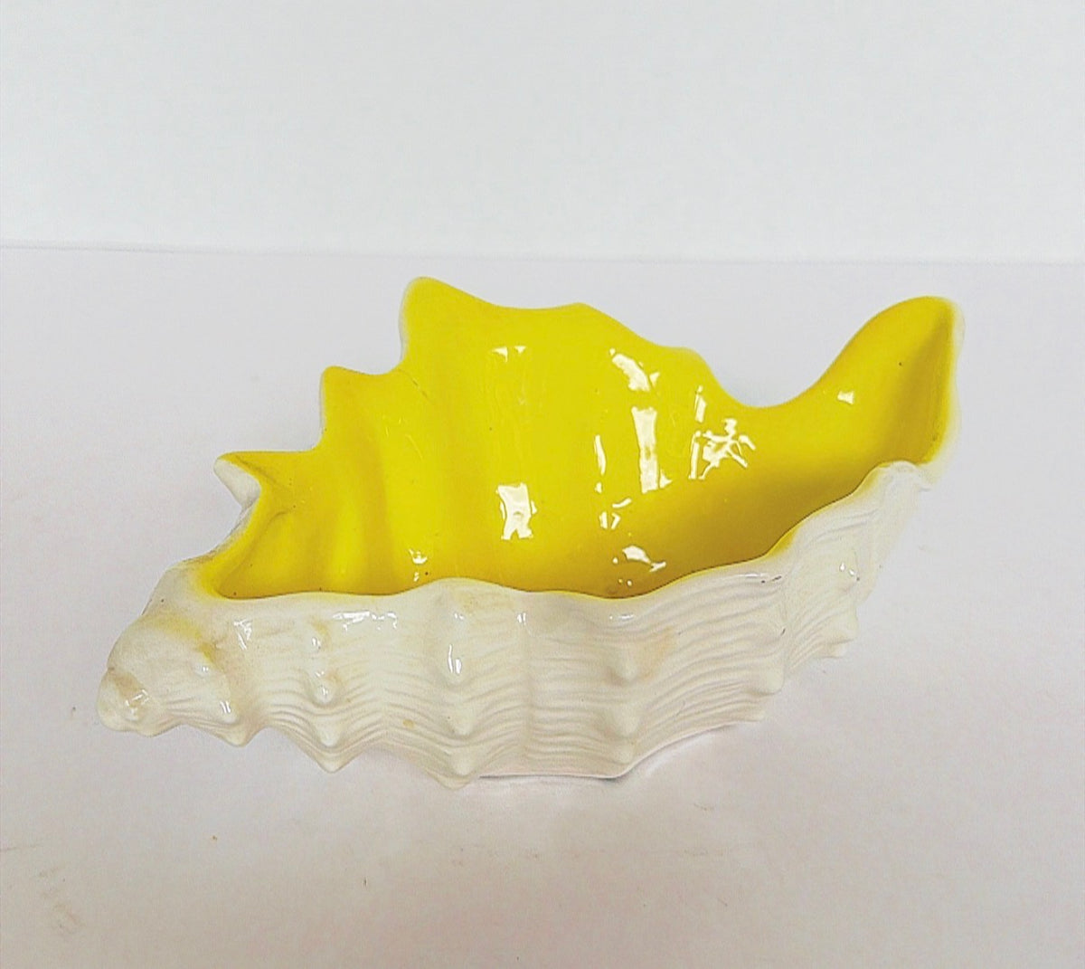 Q10 - Shell Dish F&F