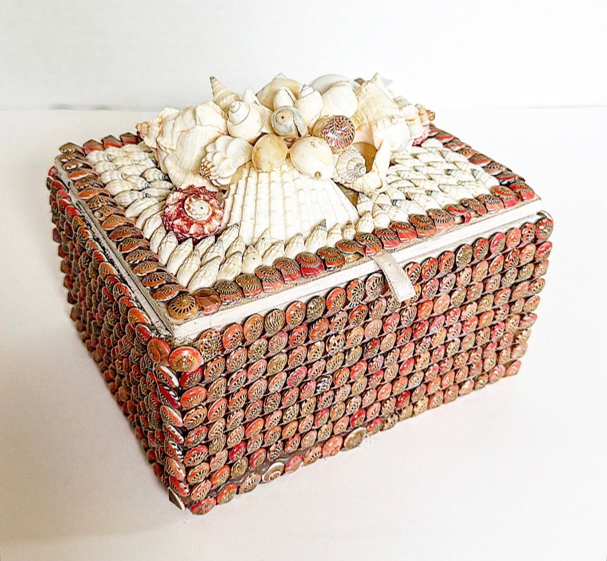 C9 - Shell Box