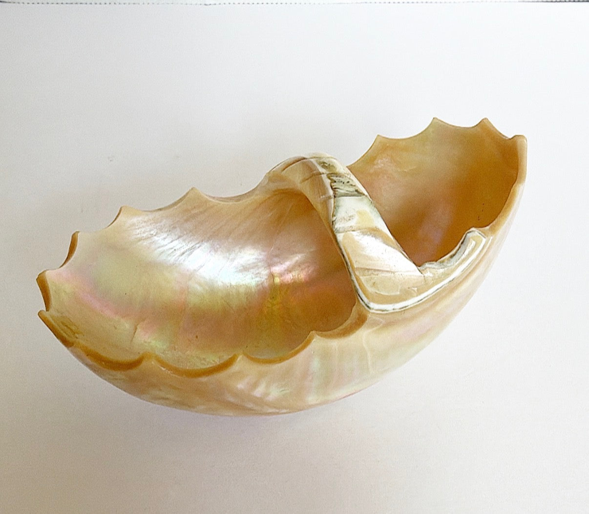 T10 - Mother of pearl salt master dish